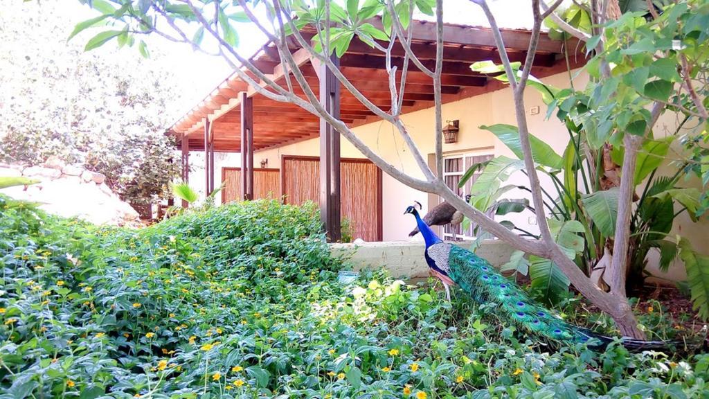 Kibbutz Tiratzvi - Country Lodging Tirat Zevi Экстерьер фото